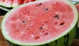 吃麒麟瓜的感受,舌尖上的甜蜜邂逅