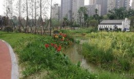 成都金沙公园吃瓜,悠闲生活新体验