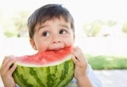 吃瓜鸭蜡笔小姜