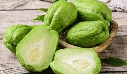 蓝家吃瓜,揭秘娱乐圈的“吃瓜”盛宴