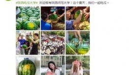 探探吃瓜大爆料